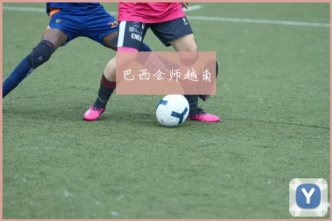 巴西会师越南