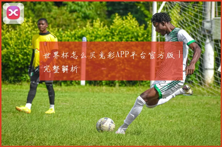 世界杯怎么买竞彩APP平台官方版｜完整解析